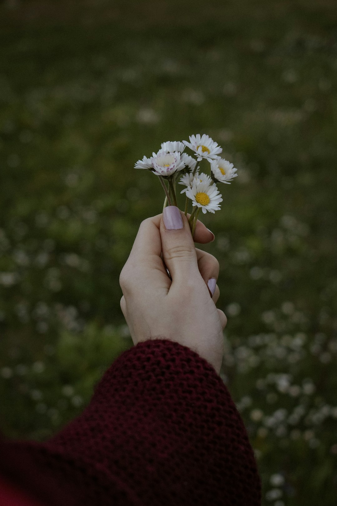 Photo by Valentina Ivanova a hand holding a white flower